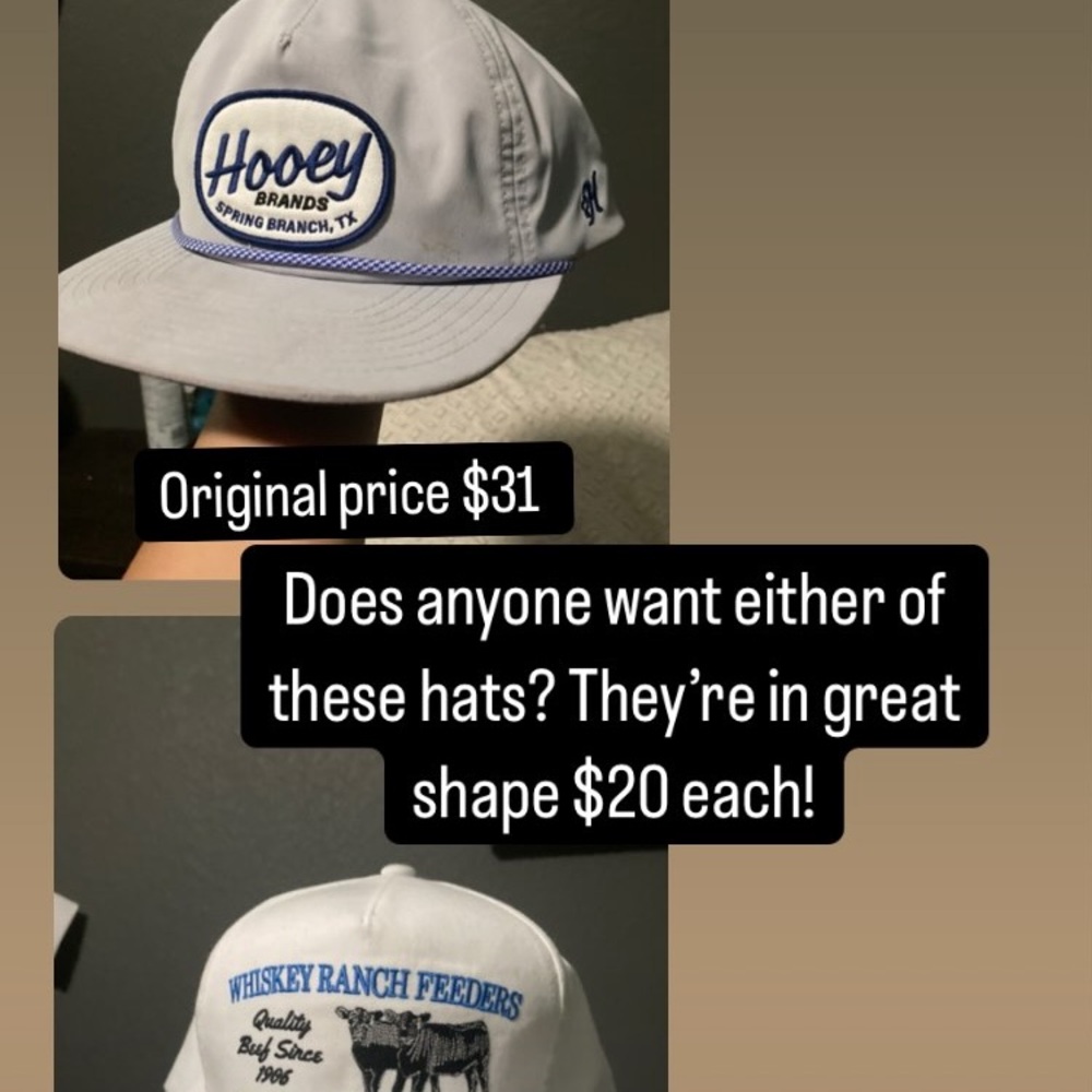Hooey Gray and Blue Logo Cap